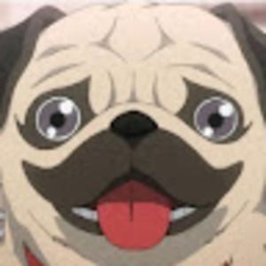 Meet your Posher, Jun